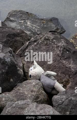 Abbandonato, strappato e sporco bambino giocattolo orso abbandonato, adagiato su rocce a fianco dell'acqua Foto Stock