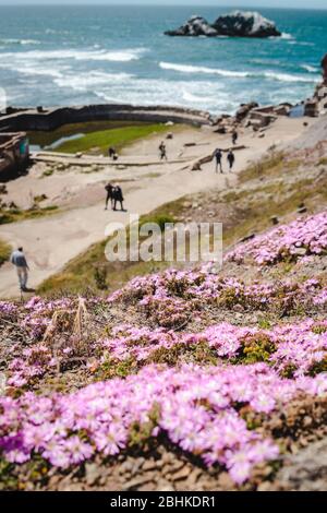 Vista panoramica dal Sutro Baths Upper Trail sull'Oceano Pacifico. Luoghi turistici a San Francisco, destinazioni di viaggio nella Bay Area, California punti di riferimento Foto Stock