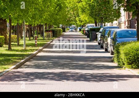 Vicolo di castagno e tiglio a Deak ter (Piazza) la piazza più lunga d'Europa, Sopron, Ungheria Foto Stock