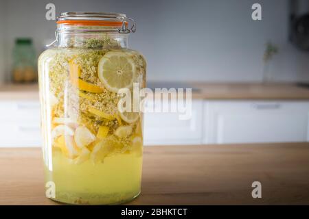 Vaso di vetro ermetico riempito con sambuco e fette di limone combinati per rendere casalingo sciroppo di sambuco o cordiale, una bevanda estiva spaventosa. Foto Stock