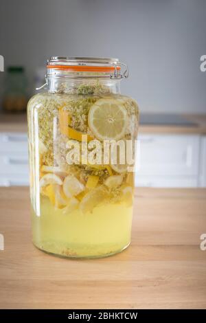 Vaso di vetro ermetico riempito con sambuco e fette di limone combinati per rendere casalingo sciroppo di sambuco o cordiale, una deliziosa bevanda estiva. Foto Stock