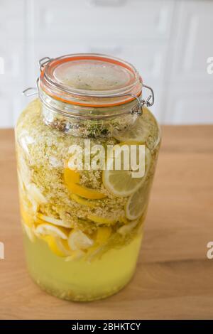 Vaso in vetro ermetico riempito con sambuco e fette di limone combinati per fare sciroppo di sambuco fatto in casa, una deliziosa e frizzanti bevanda estiva. Ver Foto Stock