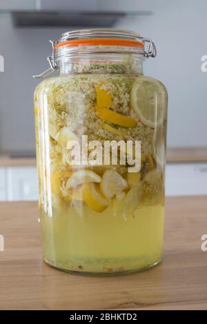 Vaso di vetro ermetico riempito con samelflowers e fette di limone combinati per rendere sciroppo di samelflowers fatto in casa o cordiale, una bevanda estiva spaventosa. Foto Stock