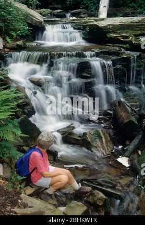 Cayuga Falls, Ricketts Glen State Park, Pennsylvania Foto Stock