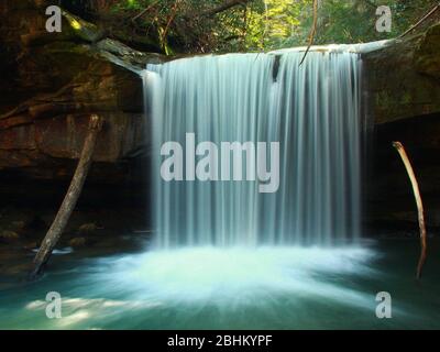 La macellazione dei cani cade nel parco statale Cumberland Falls nel Kentucky durante la fine dell'autunno Foto Stock