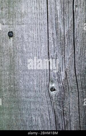 Un bordo di legno intemperato su una recinzione sbiadita è osservato da vicino in un'immagine di sfondo testurizzata. Foto Stock