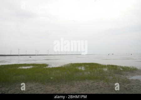 Pomeriggio paesaggio naturale delle zone umide di Gaomei a Taichung, Taiwan Foto Stock