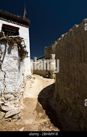 Un piccolo villaggio contadino alla base dell'Himalaya, Jinga, Tibet Foto Stock