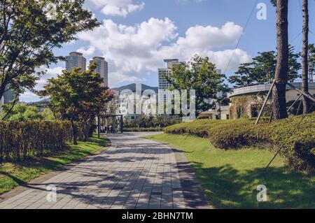 Sentiero pavimentato all'interno del parco cittadino di Busan con vista sulla città Foto Stock