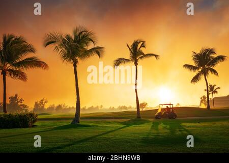 Il campo da golf di isola tropicale Foto Stock