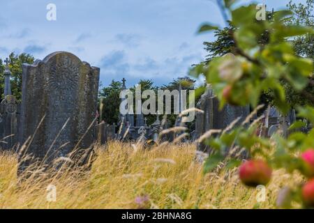 Il cimitero di Glasnevin fu fondato nel 1831 ed è il più grande cimitero d'Irlanda. Qui sono state sepolte più di un milione di persone. Foto Stock