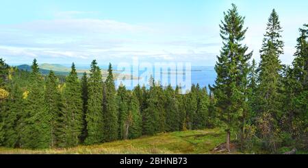 Bellissimo paesaggio con foresta nel Parco Nazionale di Koli, Karelia Nord, Finlandia. Foto panoramica con alberi sulla collina di Ukko-Koli vista sul Lago Pielien Foto Stock