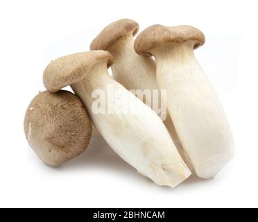 I funghi freschi isolato su bianco Foto Stock