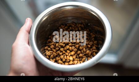 cibo secco per razze di cani di piccole dimensioni. Alimentazione adeguata per cani Chihuahua Foto Stock