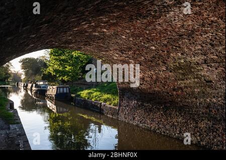 Pewsey Wharf, Wiltshire, Regno Unito. 19 aprile 2020. Una linea di barche strette ormeggiate al tramonto sul Kennet & Avon Canal a Pewsey Wharf, Wiltshire. Foto Stock