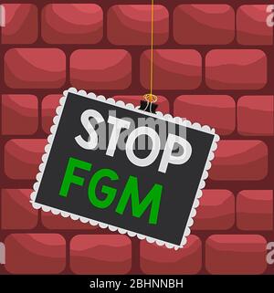 Testo di scrittura Stop FGM. Foto concettuale mettere una fine sul taglio genitale e circoncisione Stamp bloccato Binder clip di carta clip quadrate colore telaio roun Foto Stock