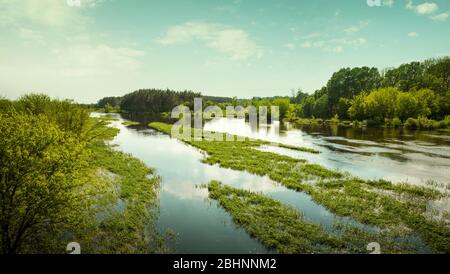 Panorama del fiume Biebrza nel Parco Nazionale di Biebrza, Polonia Foto Stock