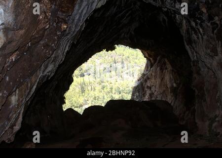 Pipistrello egiziano di rousette appeso a un soffitto grotta. La rousette egiziana, o pipistrello di frutta egiziana, (Rousettus aegyptiacus) è un frutto africano diffuso Foto Stock