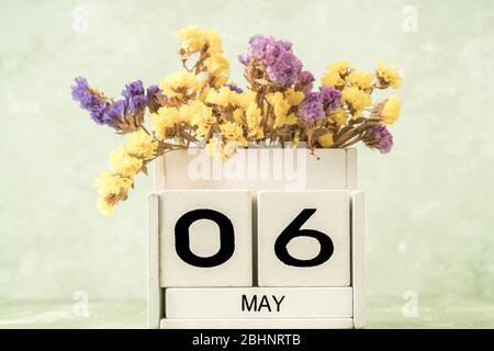 Calendario cubo bianco per maggio decorato con fiori su sfondo verde con spazio copia Foto Stock