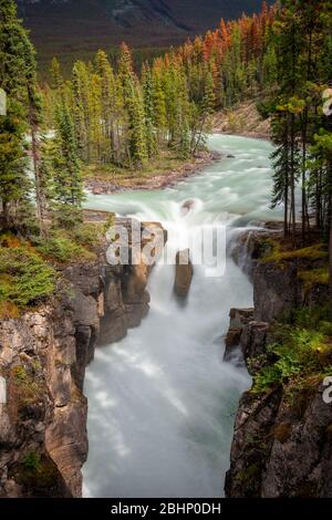 Sunwapta cade nel Jasper National Park, Rocky Mountains, Alberta, Canada Foto Stock