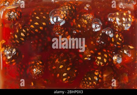 Giovane confettura di coniche di abete sfondo primo piano Foto Stock