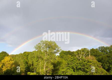 Doppio arcobaleno su una foresta verde con alberi decidui in Creuse, Nouvelle-Aquitaine, Francia in primavera dopo un temporale e pioggia Foto Stock
