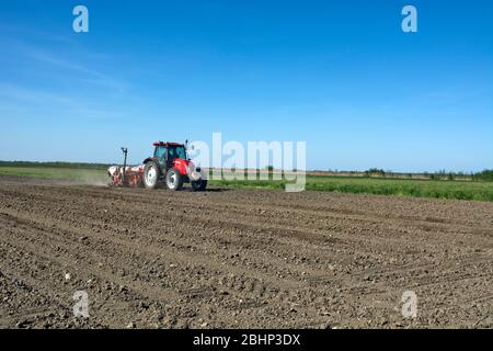 Curug, Serbia, 20 aprile 2018. Semina di molla. Un coltivatore con un trattore semina mais sul suo campo. Foto Stock