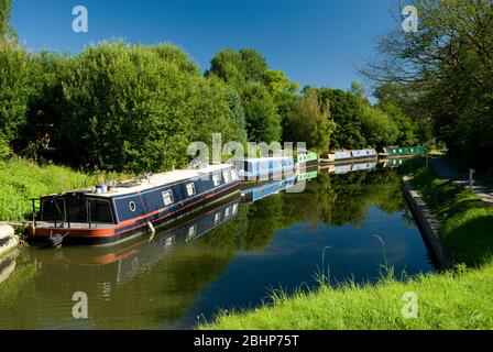 Barche strette su Kennet e Avon Canal, Claverton vicino a Bath, Somerset. Foto Stock