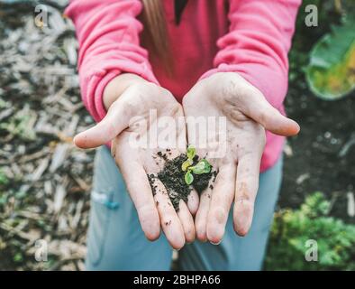Donna mani piantare un seme nel giardino domestico del cortile - ragazza giardinaggio durante isolamento di quarantena - fuoco sulla pianta - natura e concetto di coltura Foto Stock