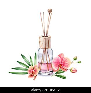 Acquerello Air rinfrescante bottiglia fragranza tropicale. Composizione floreale con diramazione di orchidee di pesca. Liquido rosa con bastoncini di legno. Spa e cosmetici Foto Stock