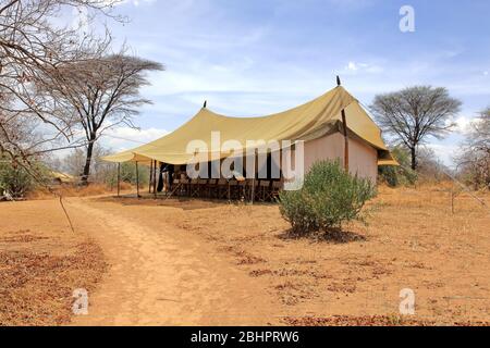 Tenda safari nel bush africano Foto Stock