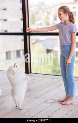 Ragazza adolescente carina che allenano il suo cane spitz a casa. Miglior amico durante la quarantena coronavirus Foto Stock