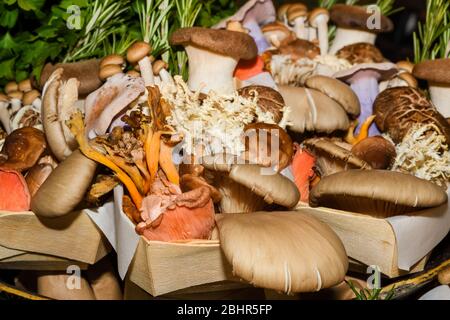 Funghi in vendita. Prodotti locali autunnali in vendita esposti al mercato. Borough mercato agricolo a Londra. Biologico e bio fresco sano mangiare con Foto Stock