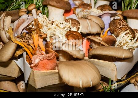 Funghi in vendita. Prodotti locali autunnali in vendita esposti al mercato. Borough mercato agricolo a Londra. Biologico e bio fresco sano mangiare con Foto Stock