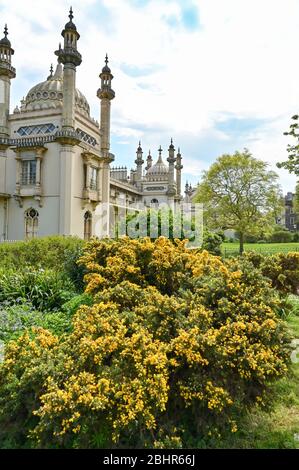 Brighton UK 27 Aprile 2020 - e' tranquillo nei Giardini del Royal Pavilion di Brighton, mentre le restrizioni di blocco continuano durante la crisi pandemica di Coronavirus COVID-19 . Credit: Simon Dack / Alamy Live News Foto Stock