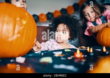 Una bambina tra due bambini più grandi e due zucche a un tavolo. Foto Stock