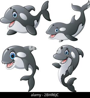 killer whale set cartone animato Illustrazione Vettoriale