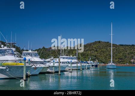 Barche a Whitianga porto marina in città di Whitianga, Coromandel Peninsula, Waikato Regione, Isola del Nord, Nuova Zelanda Foto Stock