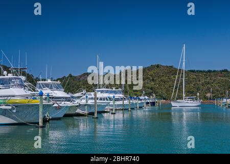 Barche a Whitianga porto marina in città di Whitianga, Coromandel Peninsula, Waikato Regione, Isola del Nord, Nuova Zelanda Foto Stock