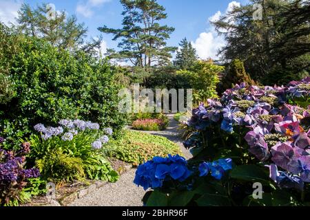 Arduaine Garden, Melfort, Argyll, NTS Foto Stock