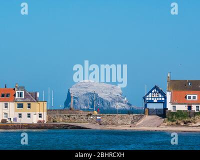 Vista del Bass Rock bianco con reti da West Bay, North Berwick, East Lothian, Scozia, Regno Unito Foto Stock