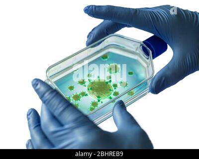 Ricerca farmaceutica su malattie e pandemie. Visualizzazione macro di un'immagine 3D di un virus contenuto in un vaso cellulare tenuto da uno scienziato. Foto Stock