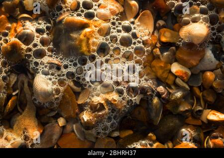 Primo piano di schiuma che bolle su ciottoli marroni sulla spiaggia, Kent England. Foto Stock