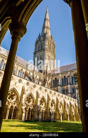 Guardando verso l'alto la guglia torreggiante della Cattedrale di Salisbury attraverso i chiostri gotici in una giornata di primavera soleggiata Foto Stock