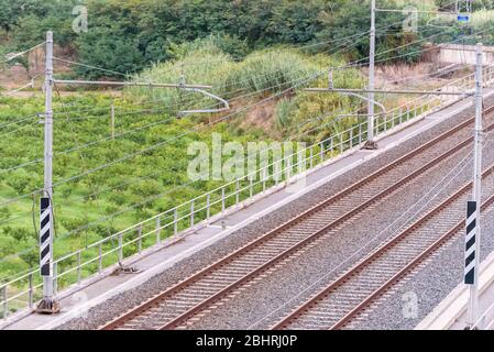 Doppia ferrovia vuota su un ponte che si avvicina ad un tunnel visto dall'alto. Foto Stock