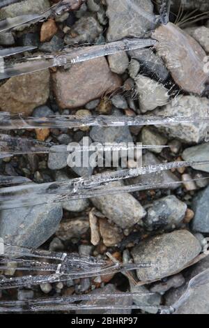 Primo piano di aghi di ghiaccio semitrasparenti con vari motivi e texture, intorno a rocce colorate in un piccolo ruscello congelato. Foto Stock