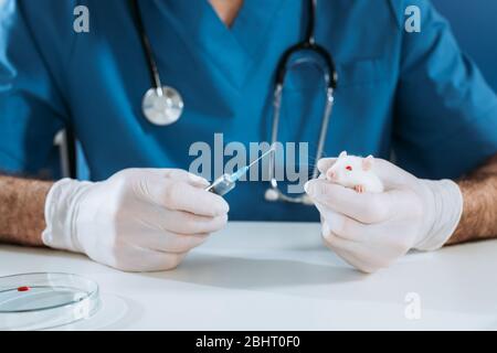 vista tagliata del veterinario in guanti di lattice che tiene il topo bianco e siringa con il medicinale Foto Stock