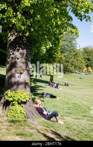 Persone che si rilassano e prendono il sole nel parco, osservando le distanze sociali, durante la pandemia di coronavirus, Londra, Regno Unito Foto Stock