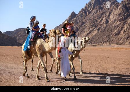 Sharm El Sheikh, Egitto - 18 marzo 2020: Turisti a cavallo cammelli nel deserto egiziano. Foto Stock