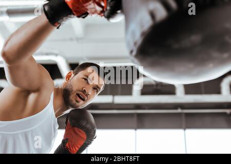 fuoco selettivo di sportivo in pugilato guanti da boxe esercitandosi con sacco punzonatore Foto Stock